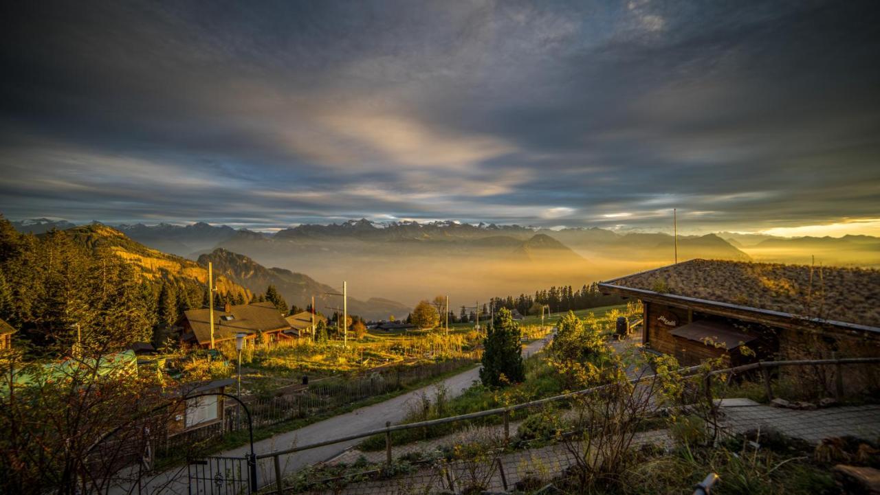 Kräuterhotel Edelweiss Rigi Kaltbad Exterior foto