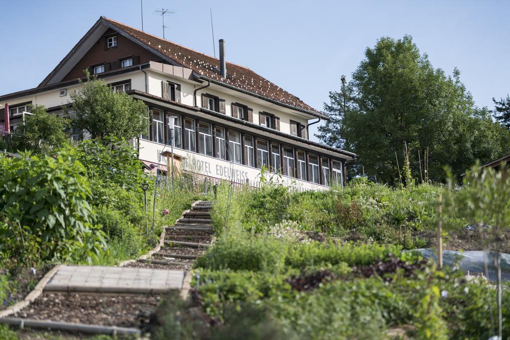 Kräuterhotel Edelweiss Rigi Kaltbad Exterior foto